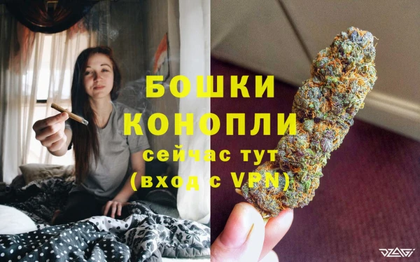 PSILOCYBIN Бугульма